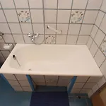 Apartmán 981